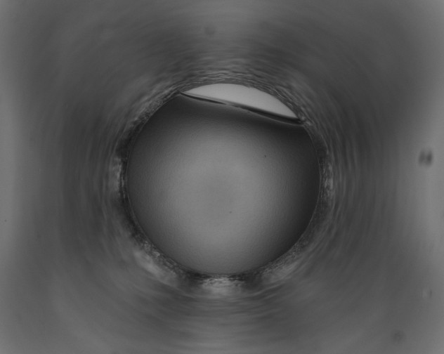 X0000088870231200707061354