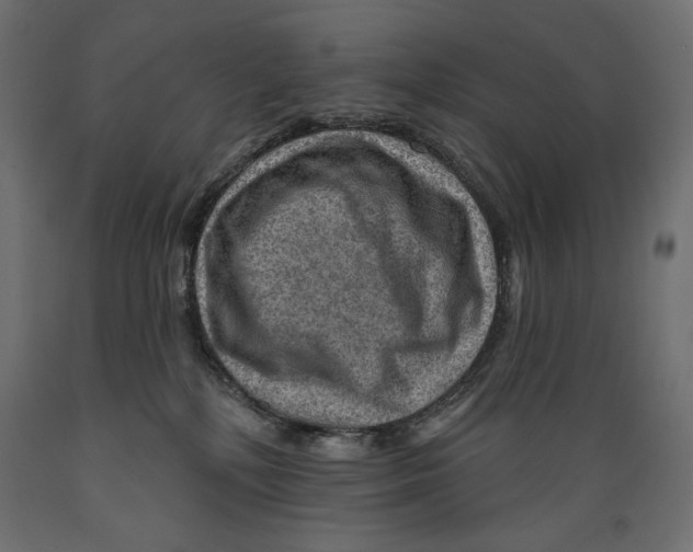X0000088870232200707061354