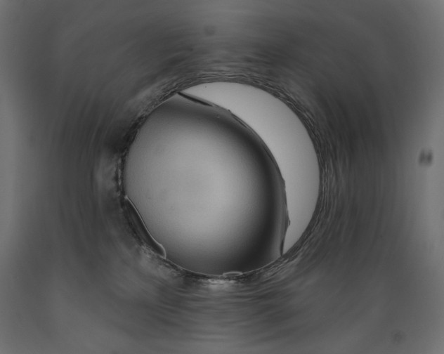 X0000088870233200707061354