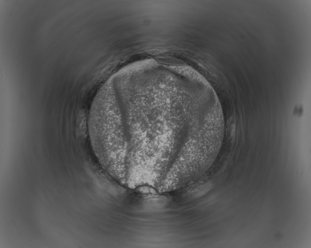 X0000088870234200707061354