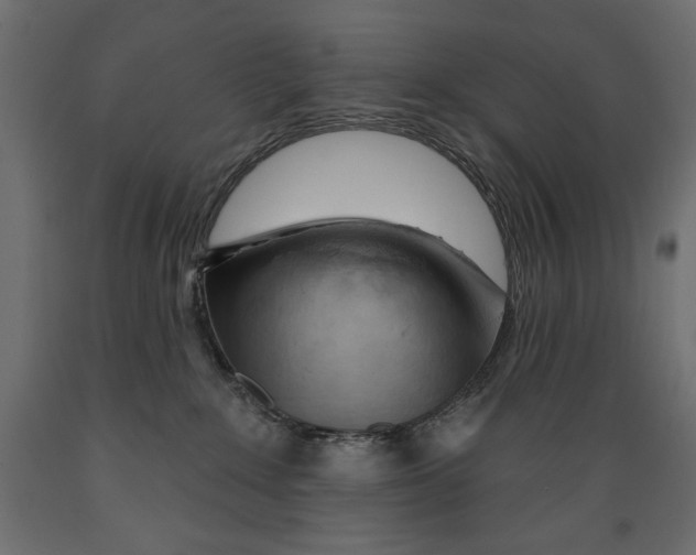 X0000088870235200707061354