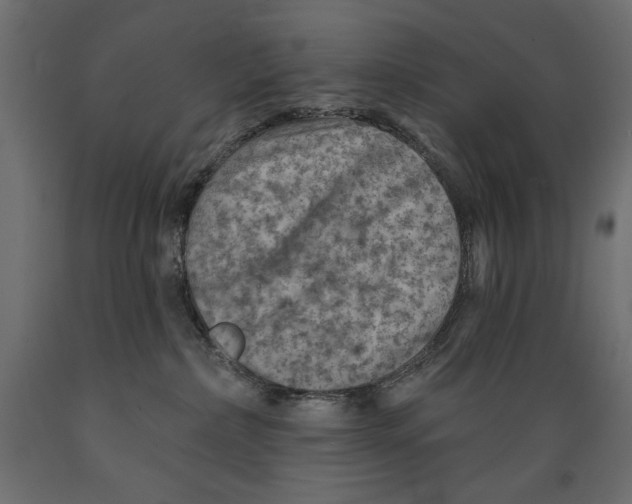 X0000088870236200707061354
