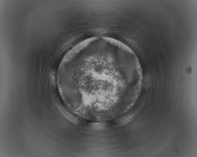 X0000088870238200707061354