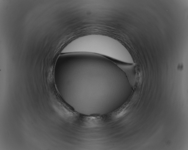 X0000088870239200707061354