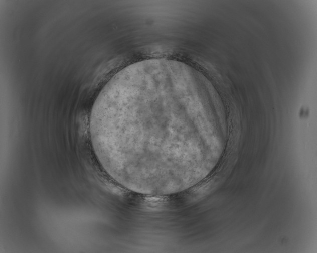X0000088870240200707061354