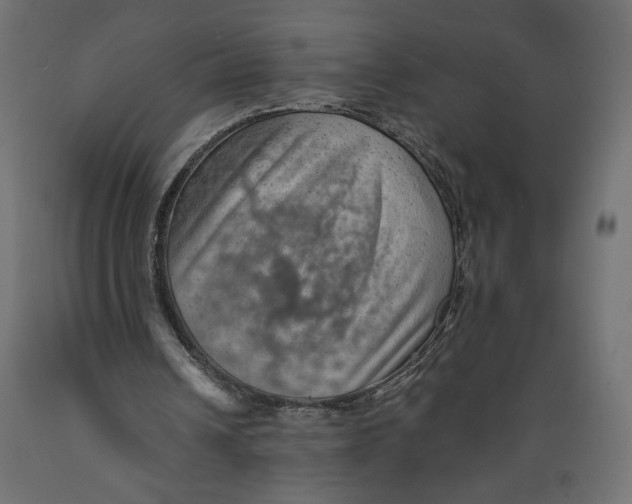 X0000088870242200707061353