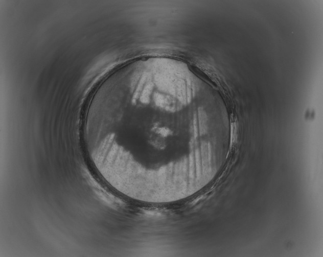 X0000088870243200707061353