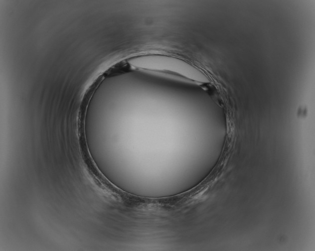 X0000088870244200707061353