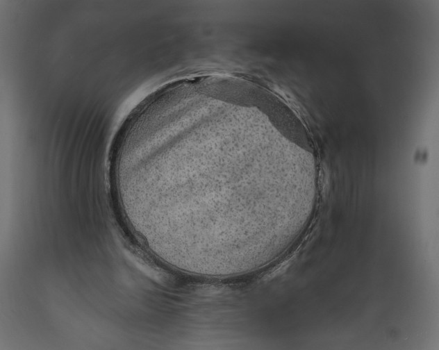 X0000088870246200707061353