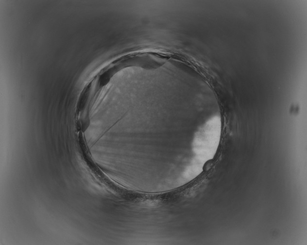 X0000088870247200707061353