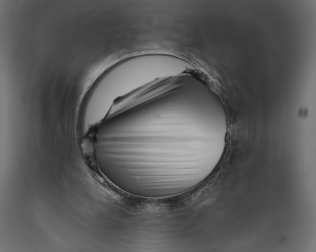 X0000088870248200707061353