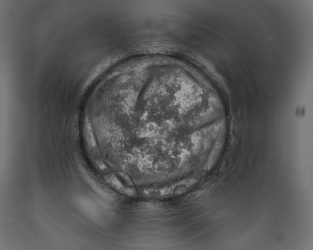 X0000088870250200707061353