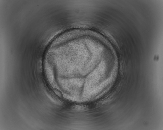 X0000088870251200707061353