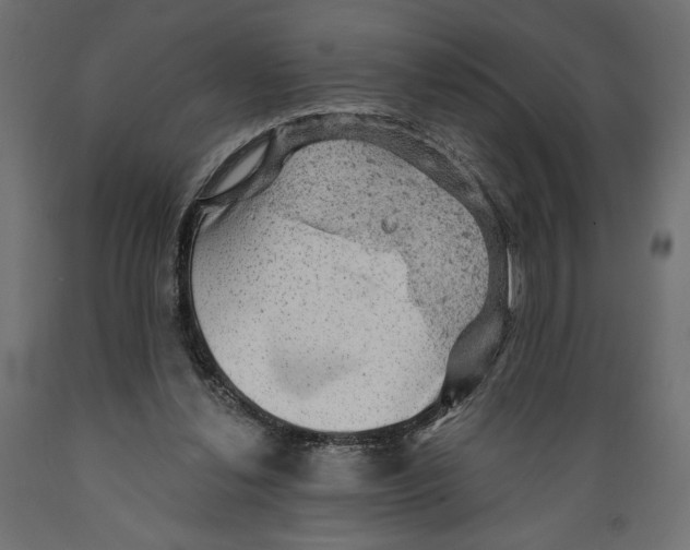 X0000088870252200707061353