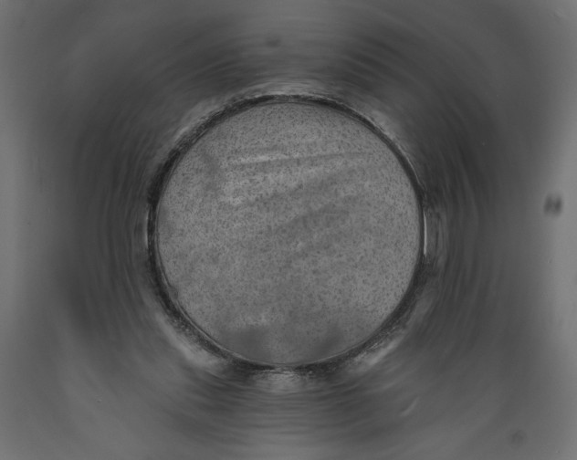 X0000088870253200707061353