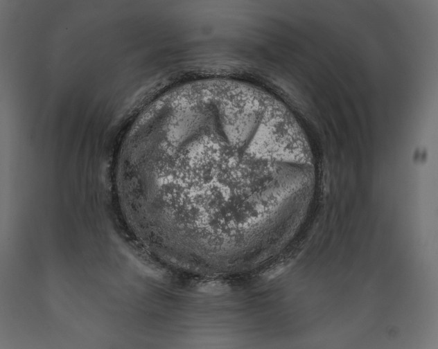 X0000088870258200707061354
