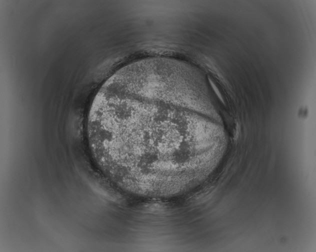 X0000088870259200707061354
