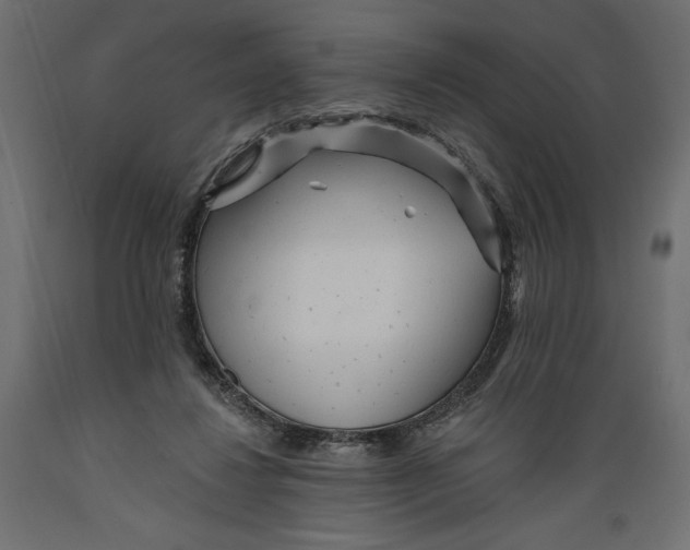 X0000088870260200707061354