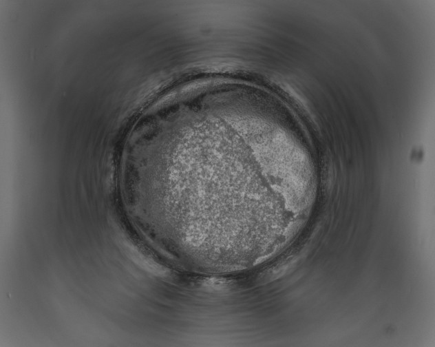 X0000088870261200707061354