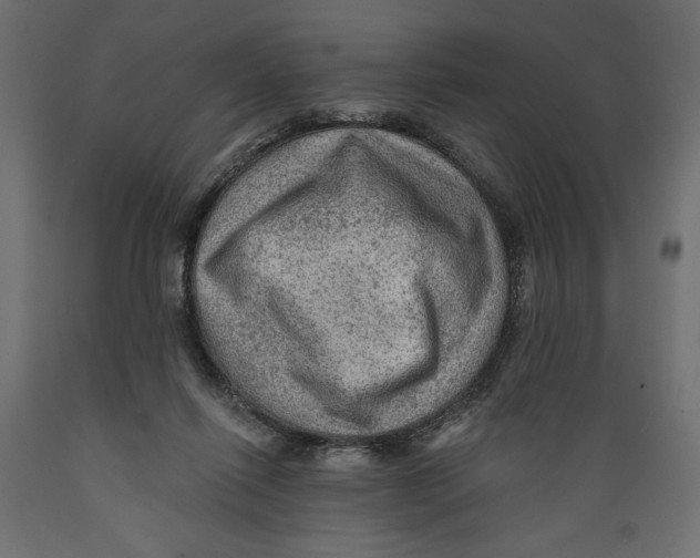 X0000088870262200707061354