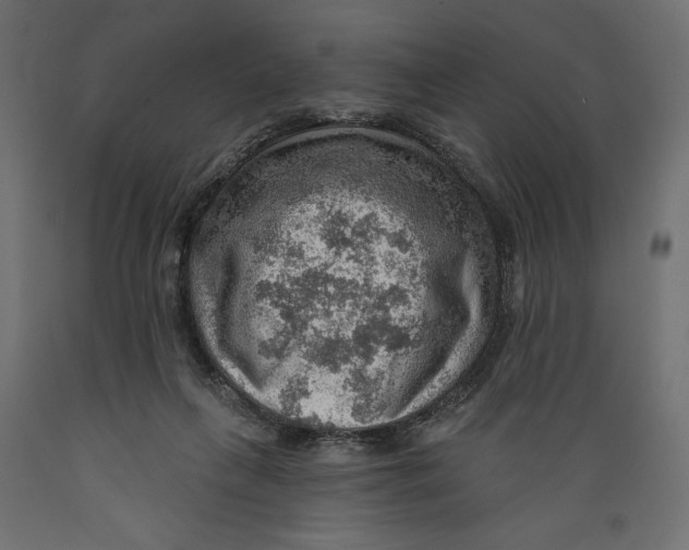 X0000088870263200707061354