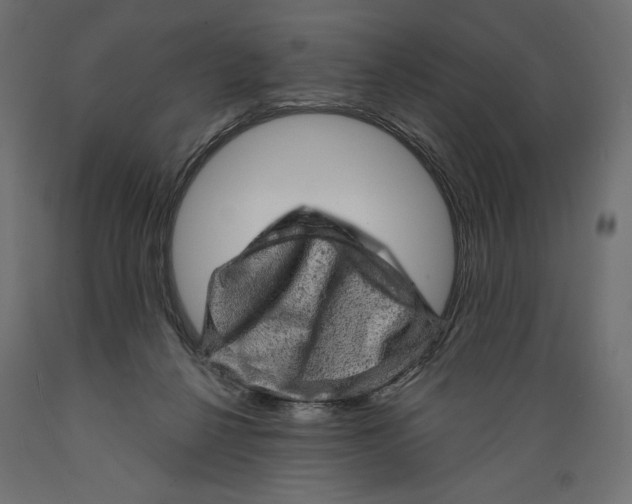 X0000088870264200707061354