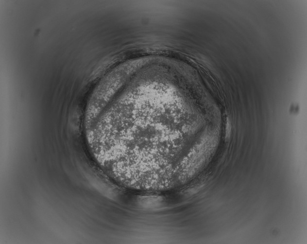 X0000088870266200707061354