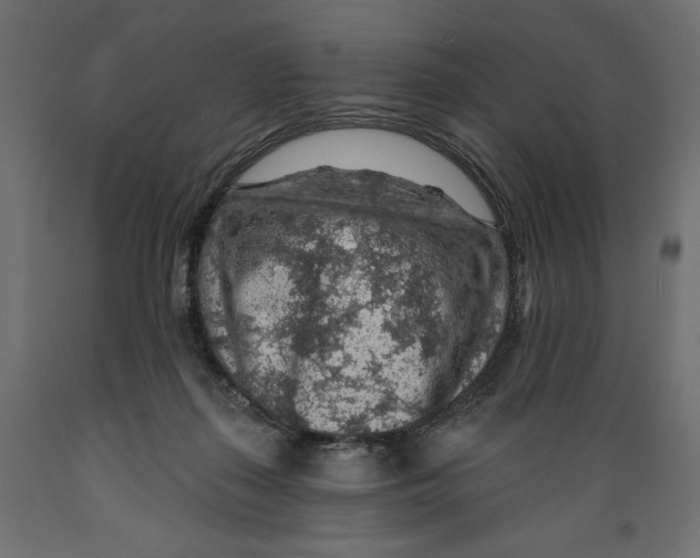 X0000088870267200707061354