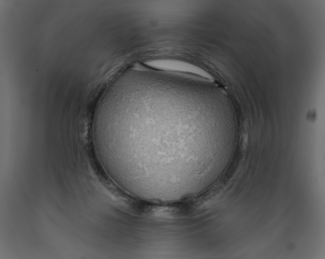 X0000088870268200707061354