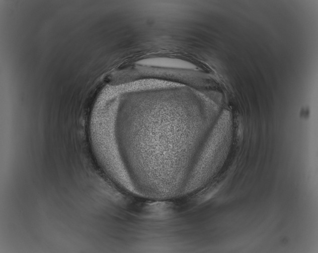 X0000088870269200707061354