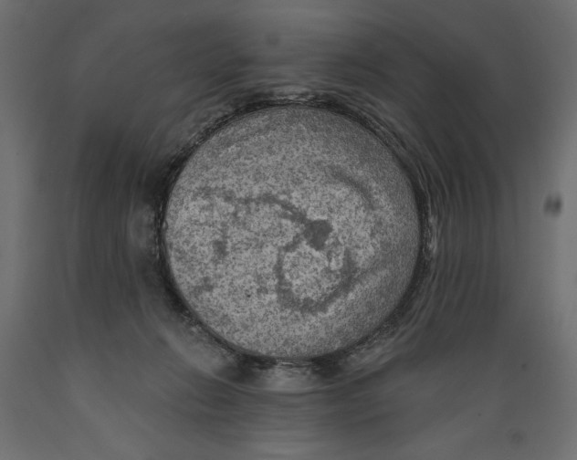 X0000088870270200707061354