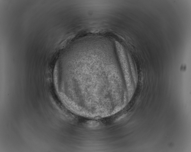 X0000088870272200707061354