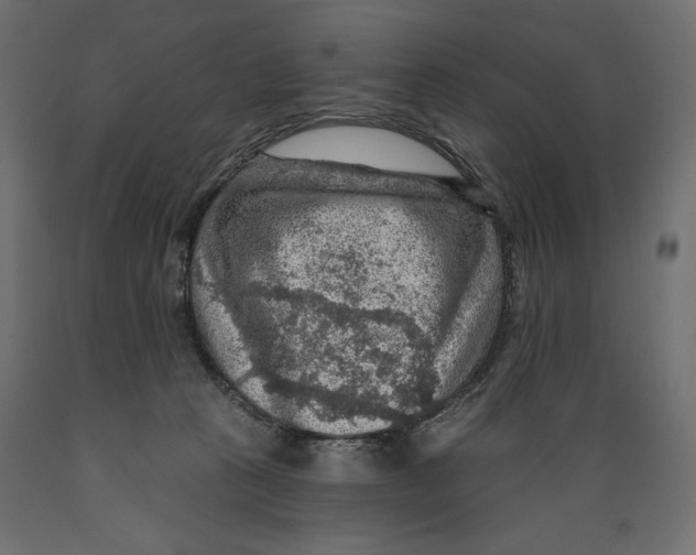 X0000088870273200707061354
