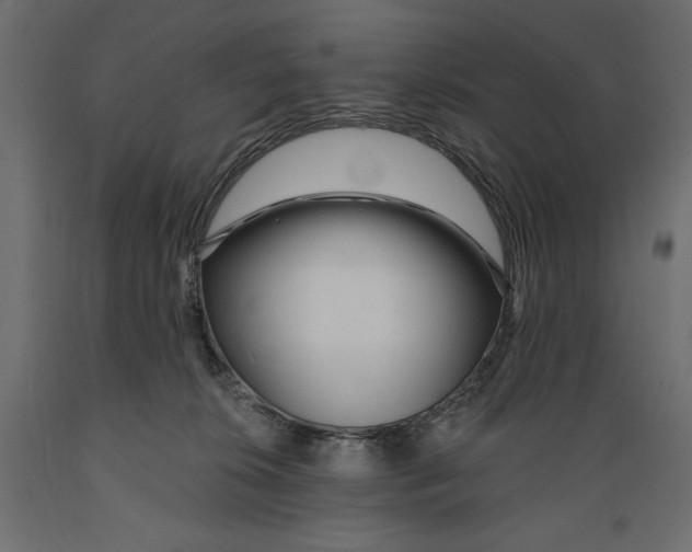 X0000088870276200707061354