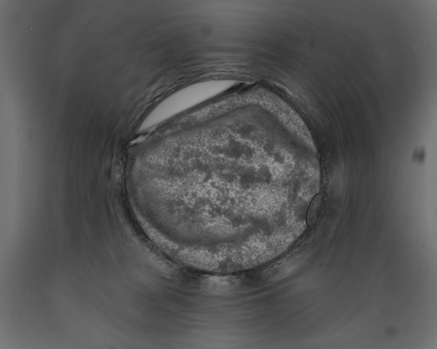 X0000088870277200707061354