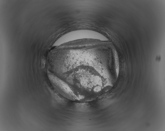 X0000088870281200707061354