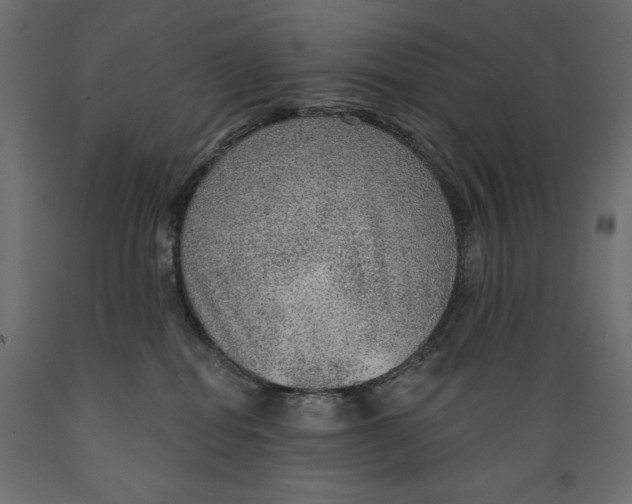X0000088870282200707061354