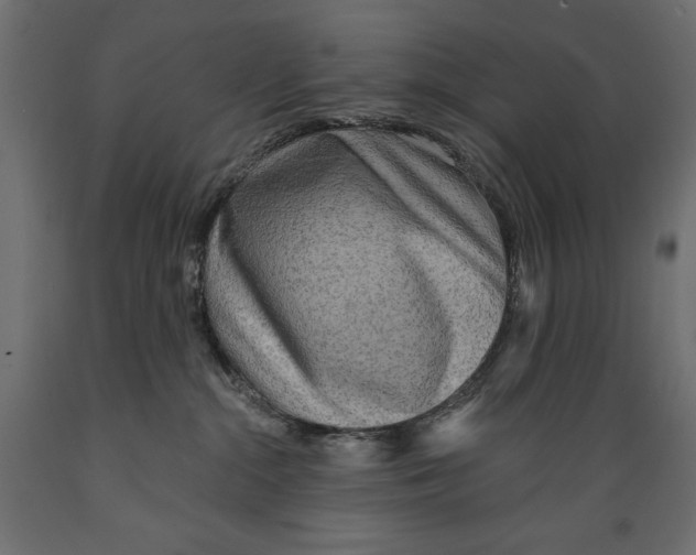 X0000088870284200707061354