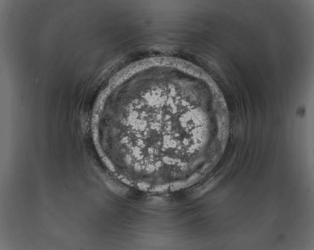 X0000088870285200707061354