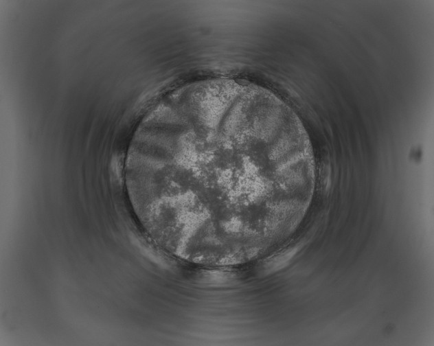 X0000088870286200707061354