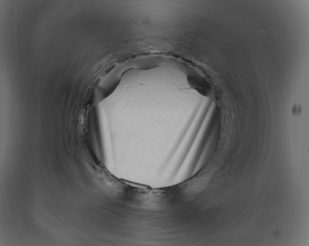 X0000088870288200707061354