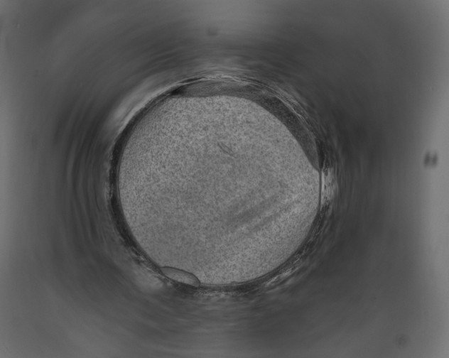 X0000088870291200707061353