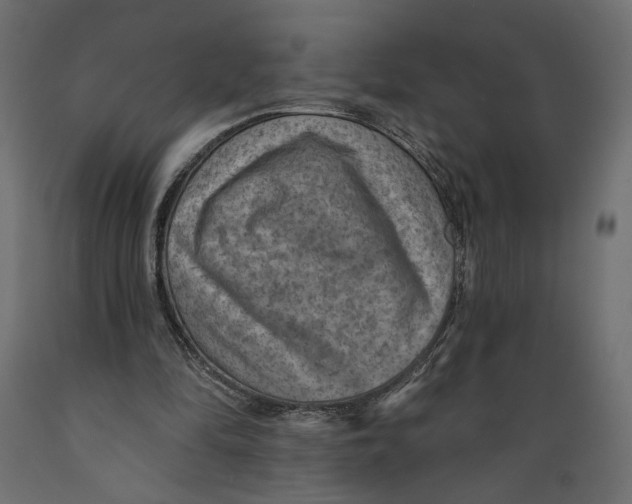 X0000088870294200707061353