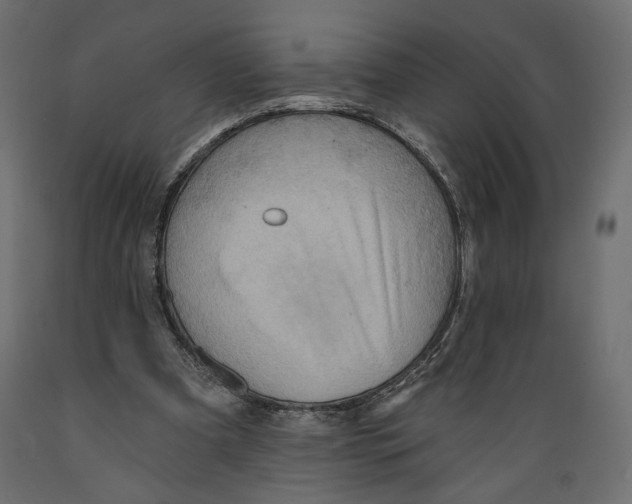 X0000088870297200707061353