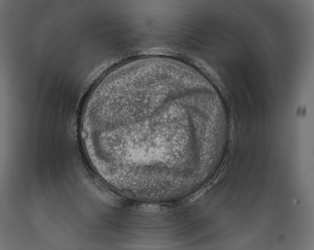 X0000088870298200707061353