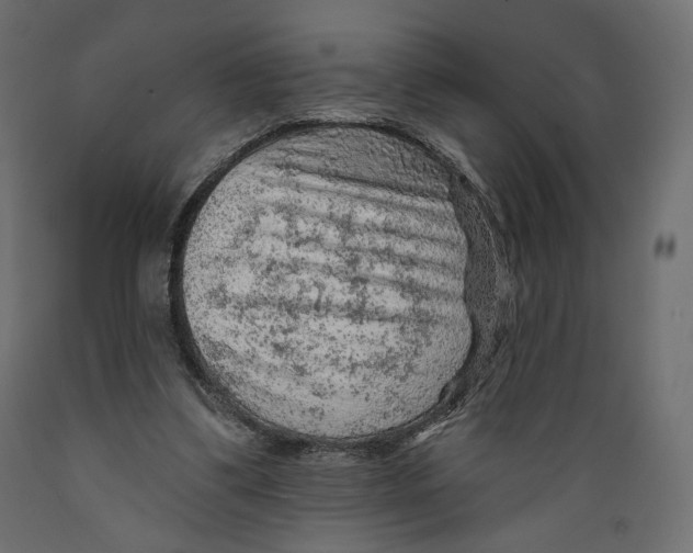 X0000088870299200707061353