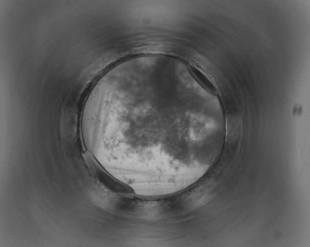 X0000088870301200707061353