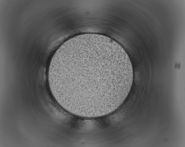 X0000088870302200707061353