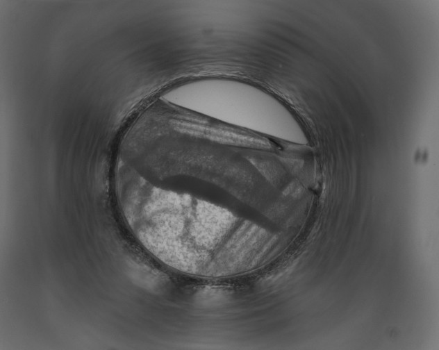 X0000088870303200707061353