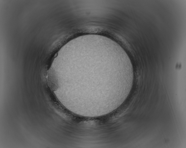 X0000088870307200707061353